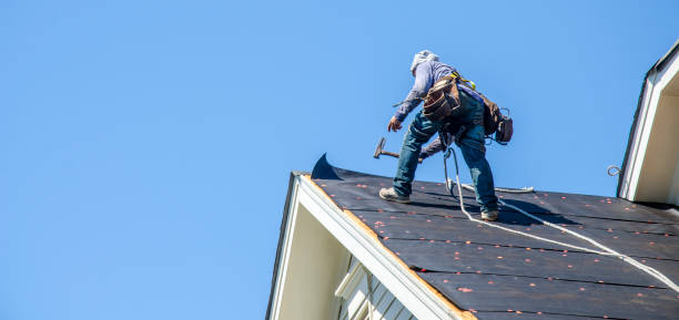 Roof Gutter Cleaning in West Pasco, WA